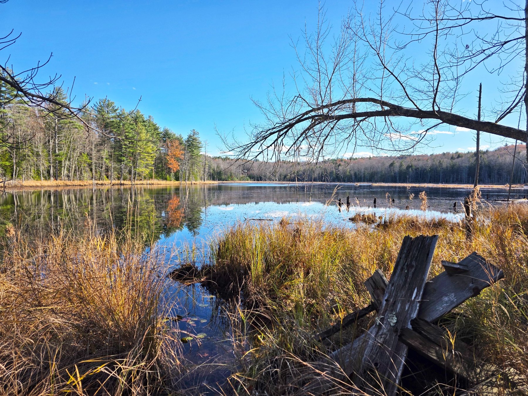 Marsh boards and pond landscape in Deering New Hampshire